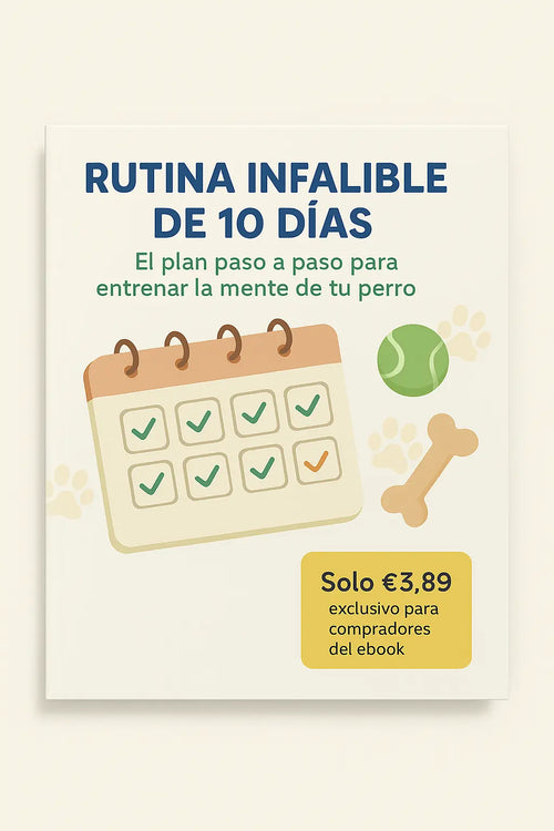Rutina infalible de 10 días